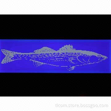 COB/STN blue graphic LCD module with white LED backlight